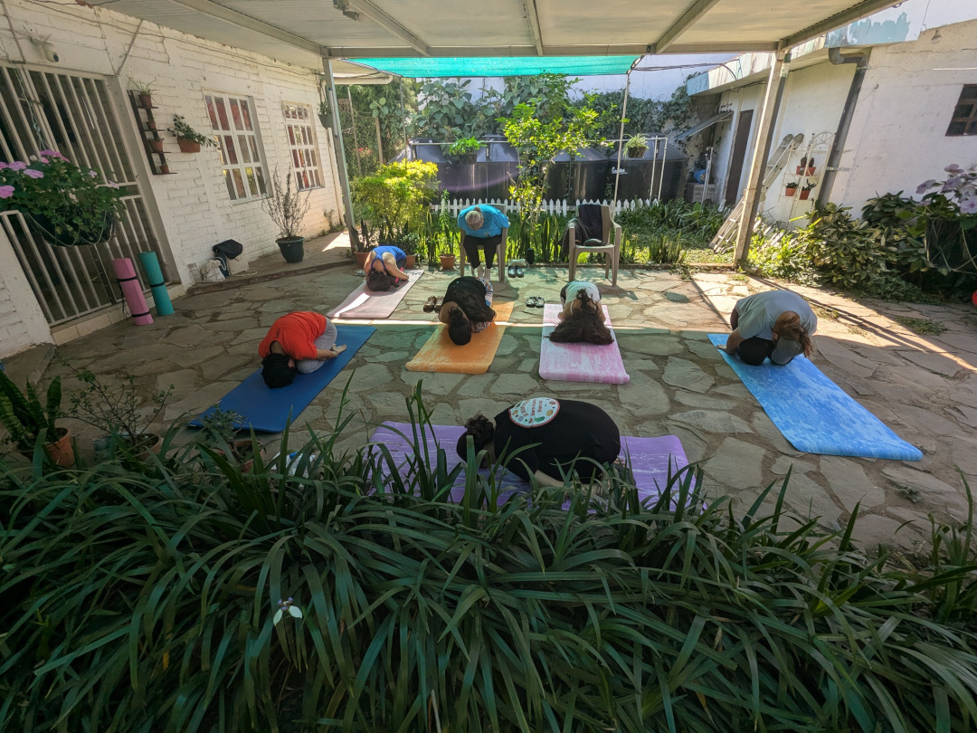 Grupo en postura de descanso, en un patio con plantas.